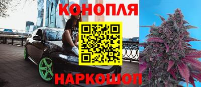 спайс Берёзовский