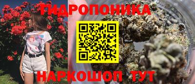 спайс Берёзовский