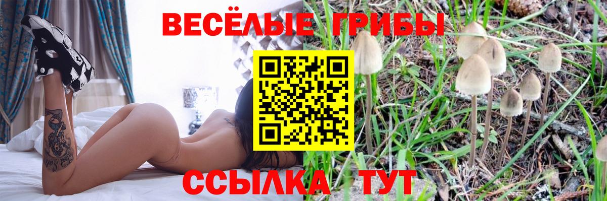 Галлюциногенные грибы Psilocybine cubensis  Псилоцибиновые грибы Magic Shrooms  Кириши  Вход с VPN 